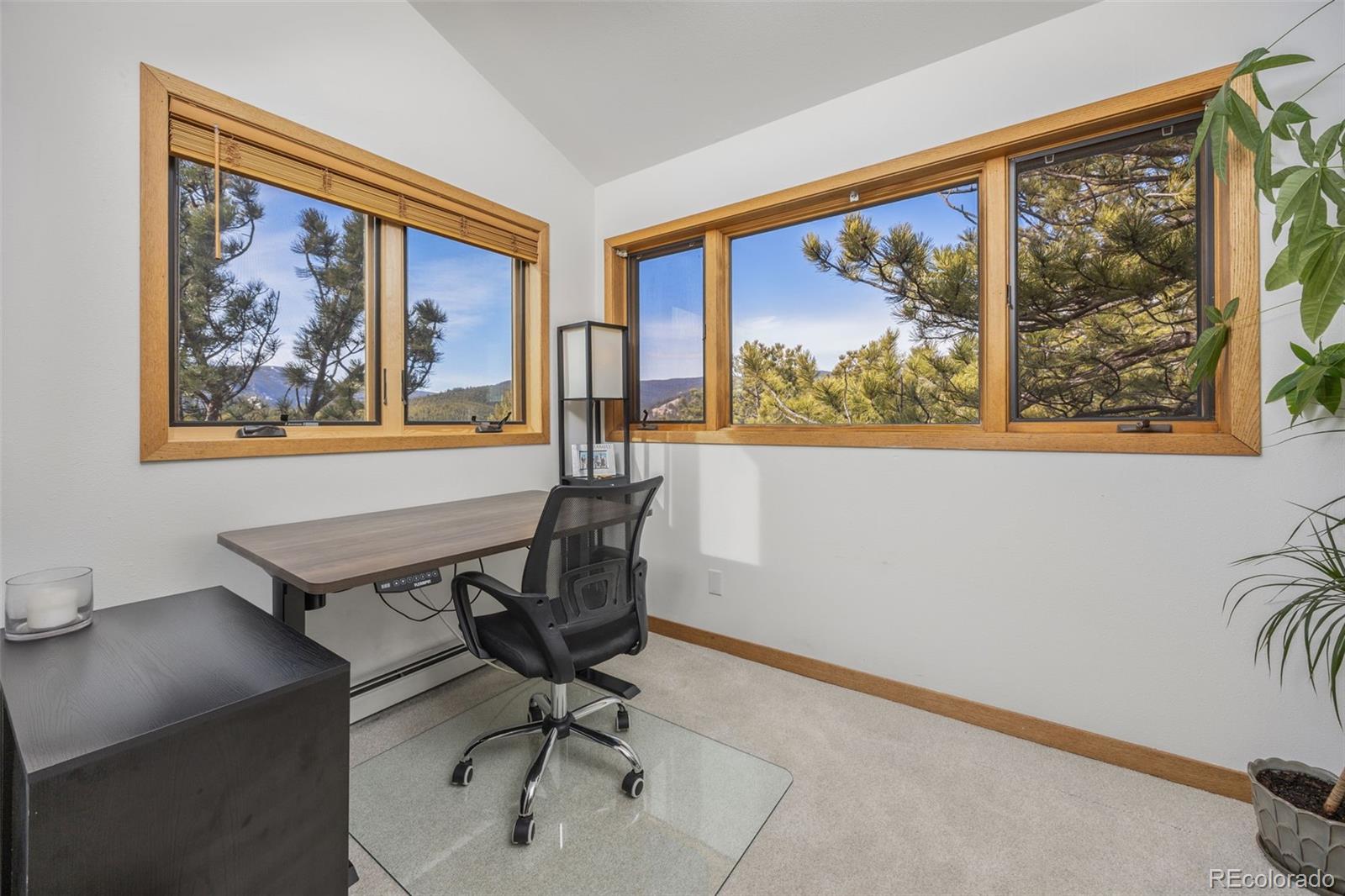 MLS Image #22 for 14  sundown trail,nederland, Colorado