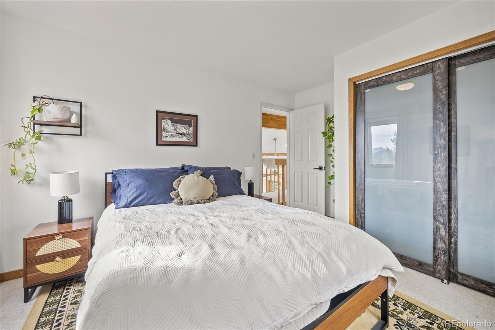 MLS Image #28 for 14  sundown trail,nederland, Colorado