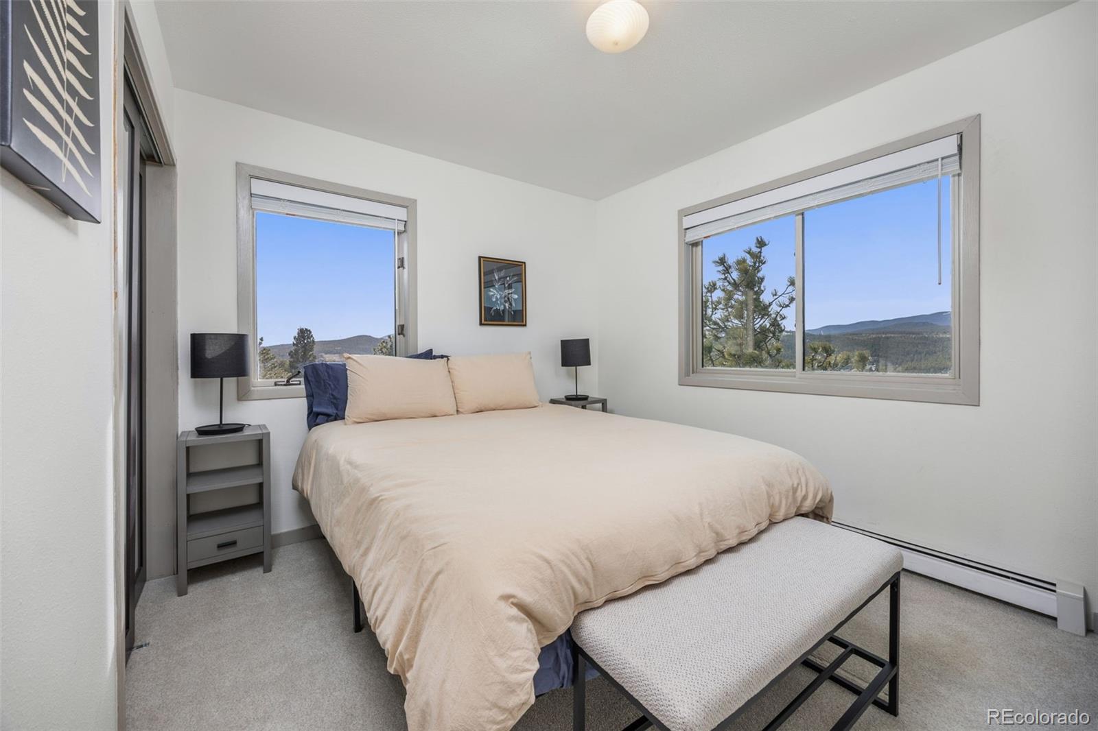 MLS Image #30 for 14  sundown trail,nederland, Colorado