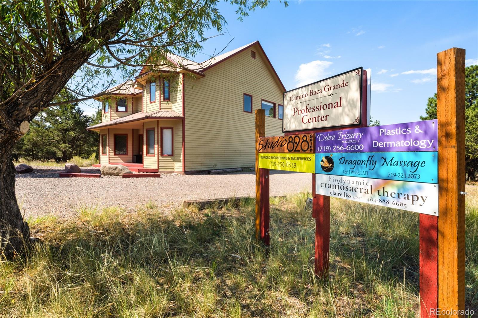 MLS Image #0 for 46  camino baca grande ,crestone, Colorado