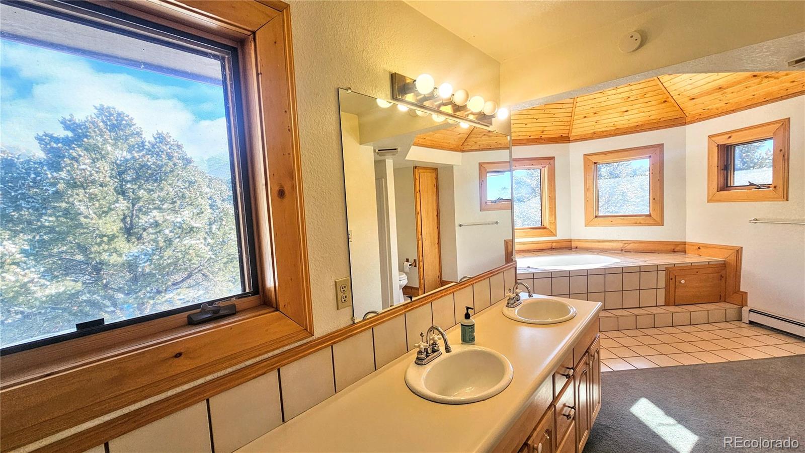 MLS Image #11 for 46  camino baca grande ,crestone, Colorado