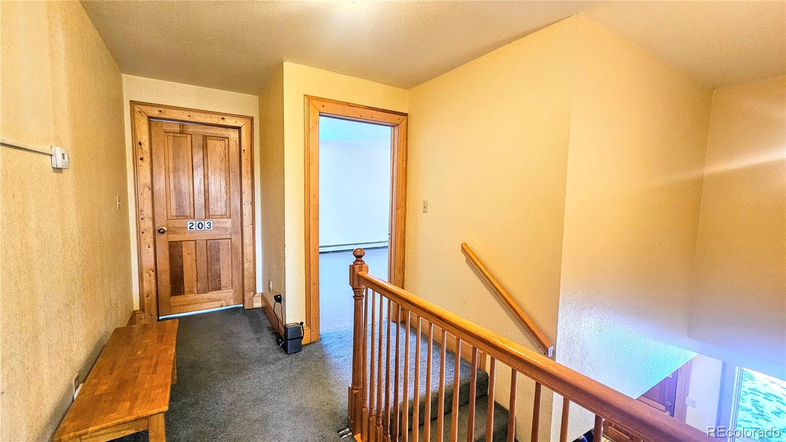 MLS Image #17 for 46  camino baca grande ,crestone, Colorado