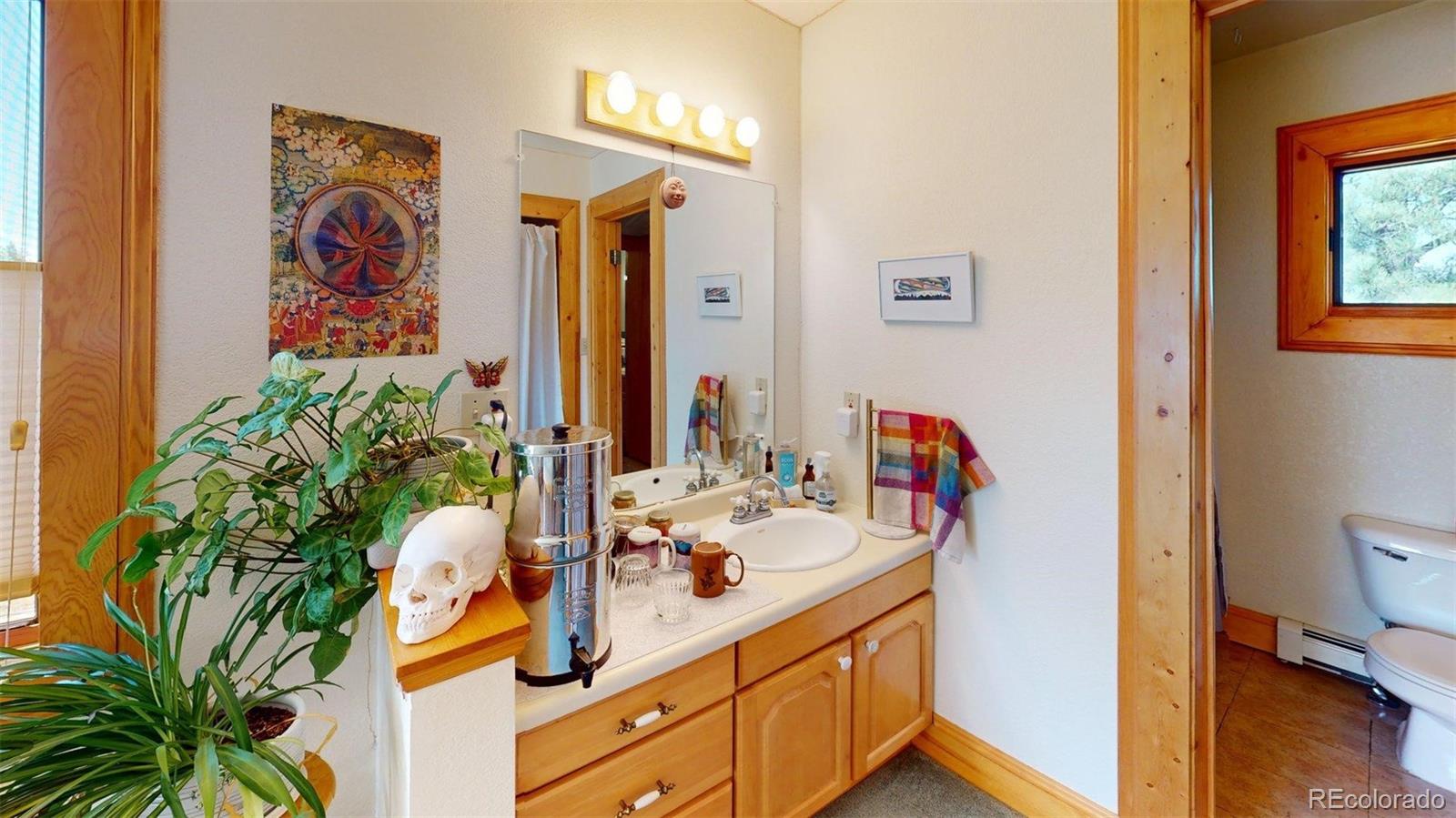 MLS Image #21 for 46  camino baca grande ,crestone, Colorado