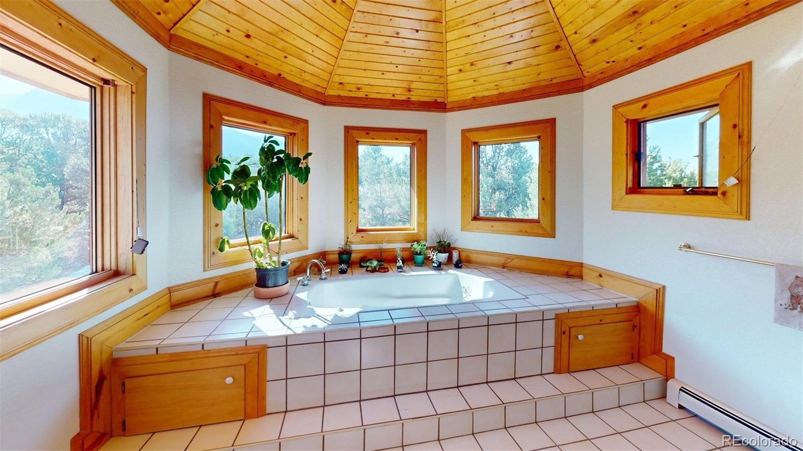 MLS Image #22 for 46  camino baca grande ,crestone, Colorado