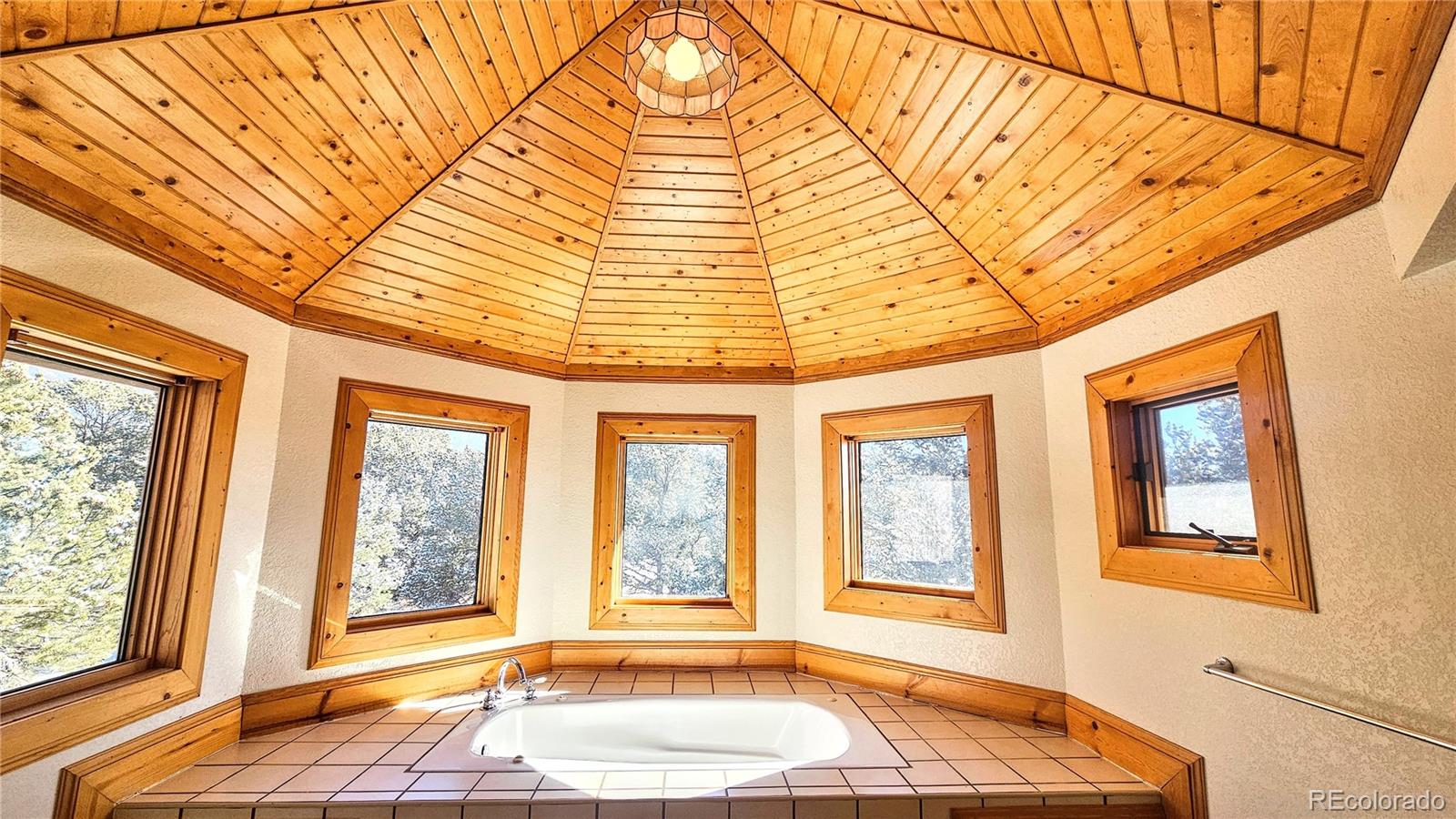 MLS Image #23 for 46  camino baca grande ,crestone, Colorado