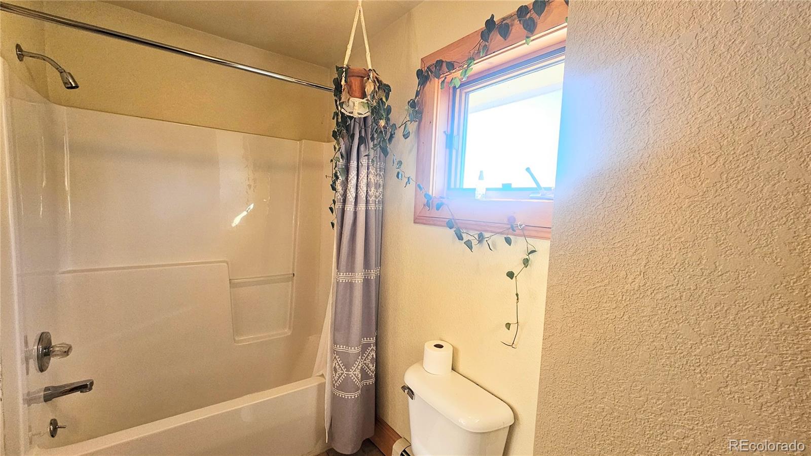 MLS Image #24 for 46  camino baca grande ,crestone, Colorado
