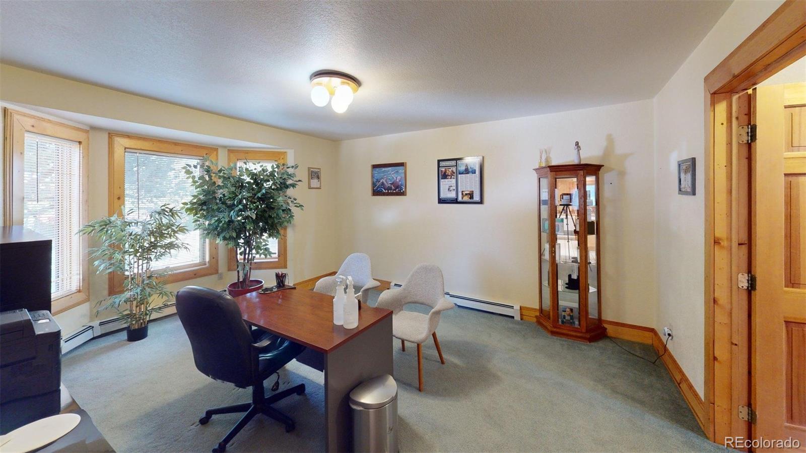MLS Image #8 for 46  camino baca grande ,crestone, Colorado