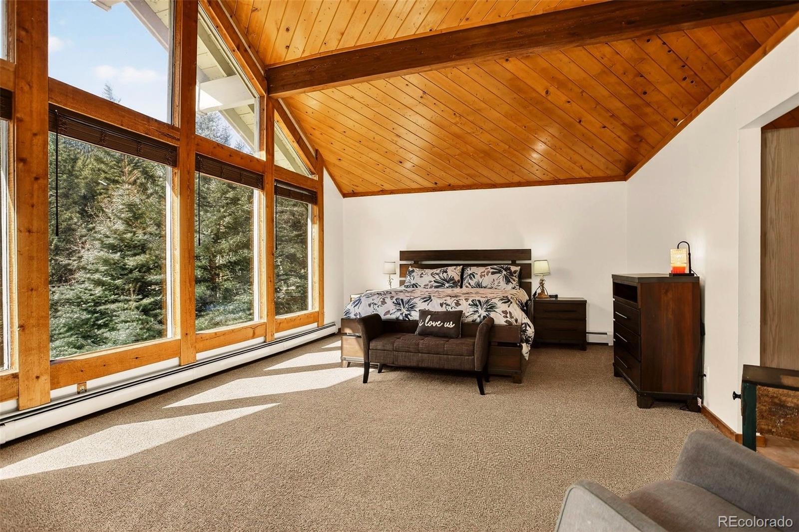 MLS Image #20 for 2218  witter gulch road,evergreen, Colorado