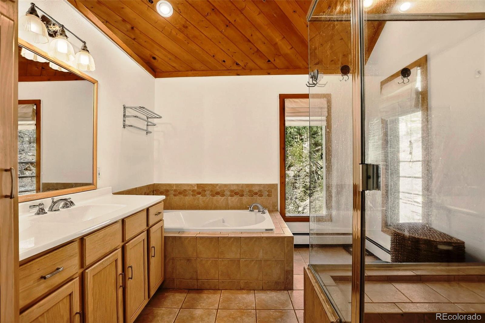 MLS Image #21 for 2218  witter gulch road,evergreen, Colorado