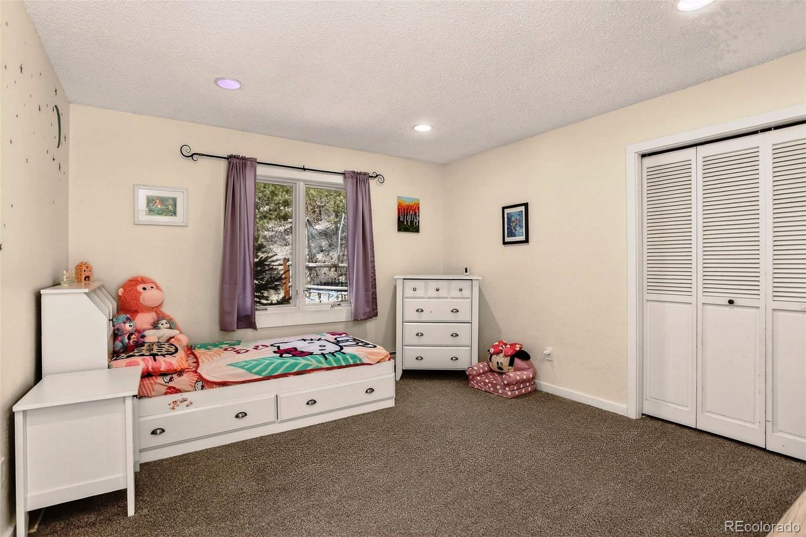 MLS Image #26 for 2218  witter gulch road,evergreen, Colorado