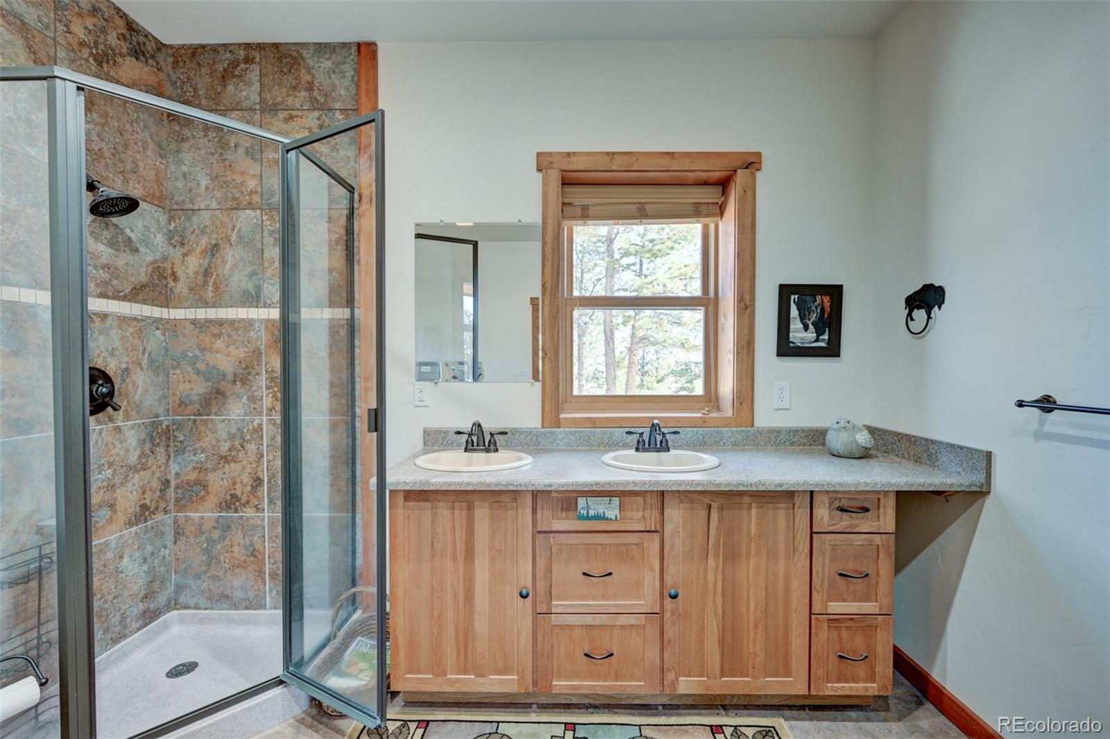 MLS Image #26 for 5675  ranch road,hartsel, Colorado