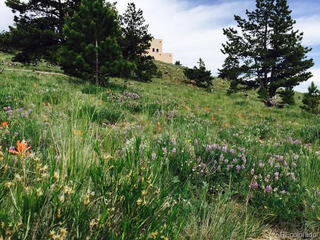 MLS Image #44 for 5675  ranch road,hartsel, Colorado