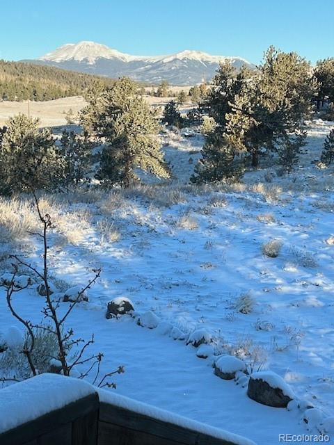 MLS Image #47 for 5675  ranch road,hartsel, Colorado