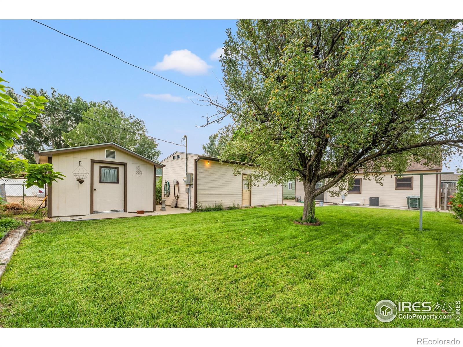 MLS Image #17 for 1023  edmunds street,brush, Colorado