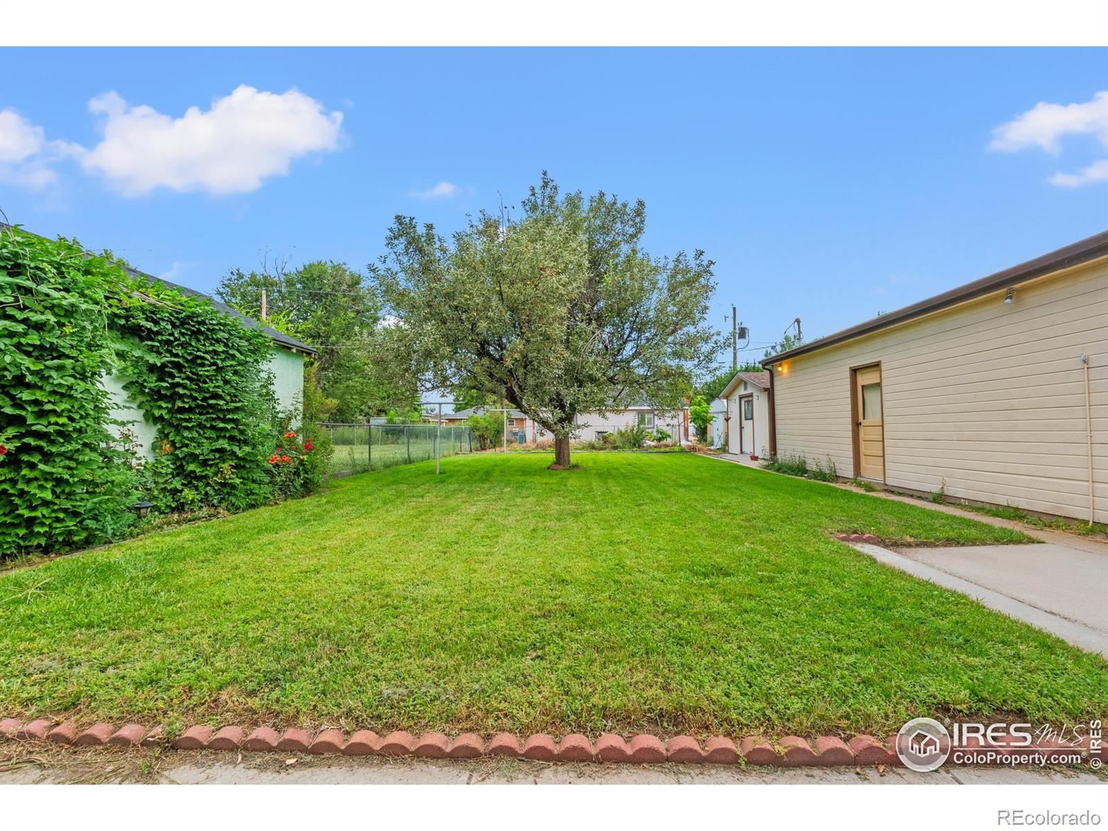 MLS Image #5 for 1023  edmunds street,brush, Colorado