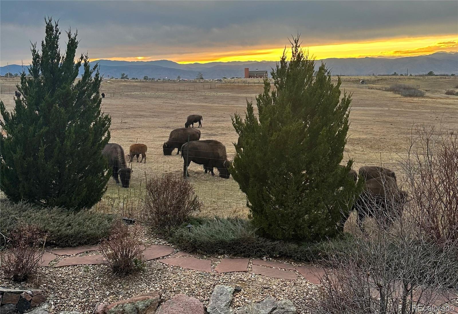 MLS Image #49 for 5764  amber ridge drive,castle pines, Colorado
