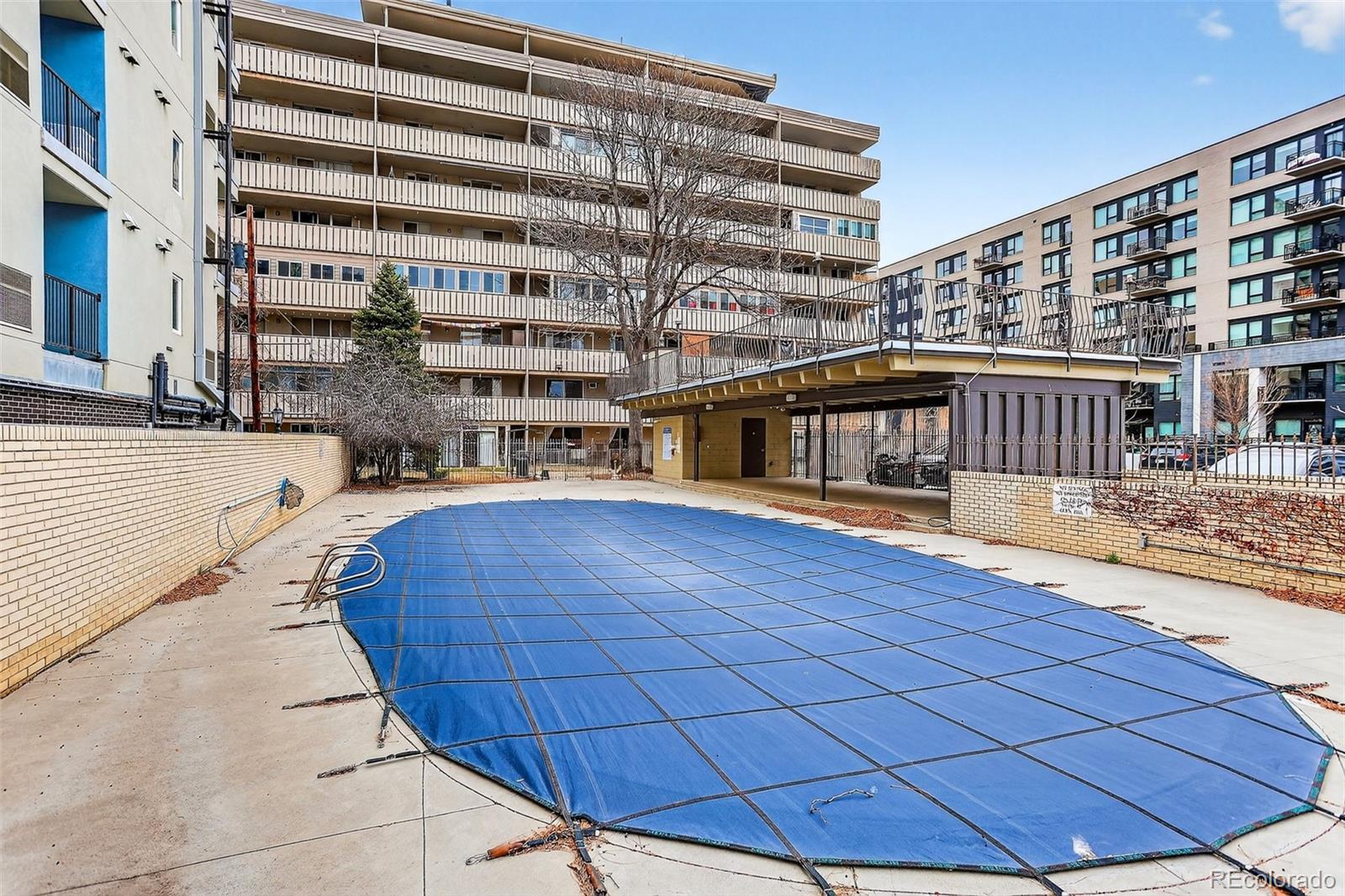 MLS Image #5 for 1111 n ash street,denver, Colorado