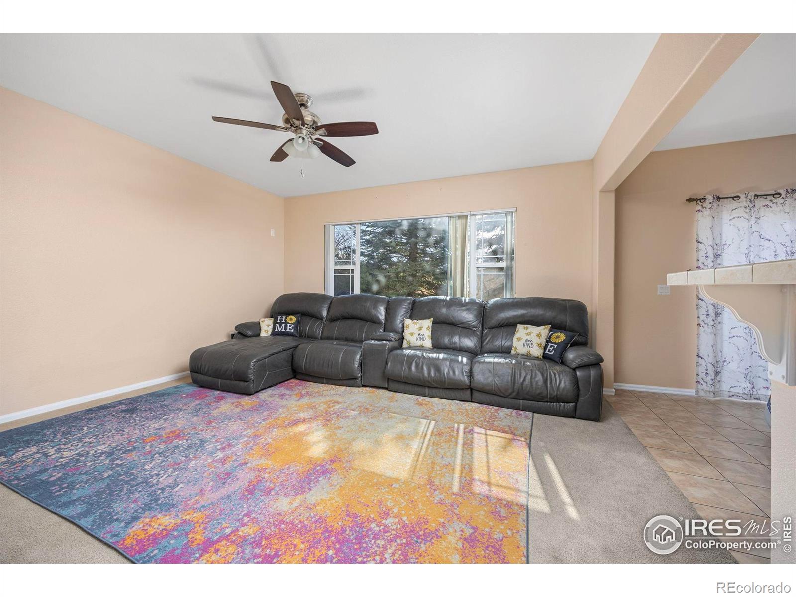 MLS Image #10 for 7067 s malaya court,aurora, Colorado