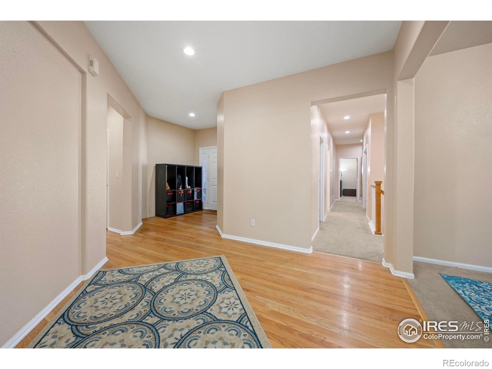 MLS Image #13 for 7067 s malaya court,aurora, Colorado