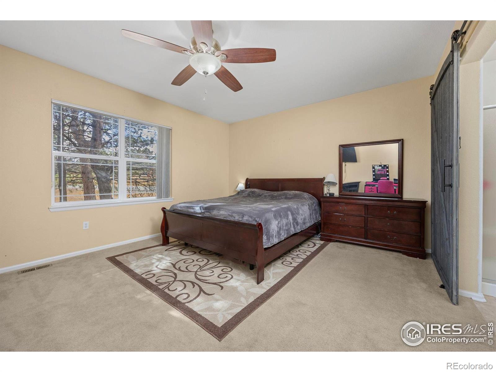 MLS Image #14 for 7067 s malaya court,aurora, Colorado