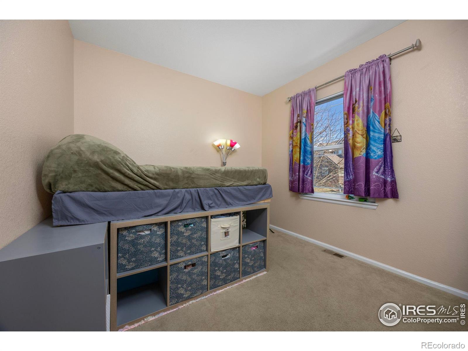 MLS Image #19 for 7067 s malaya court,aurora, Colorado