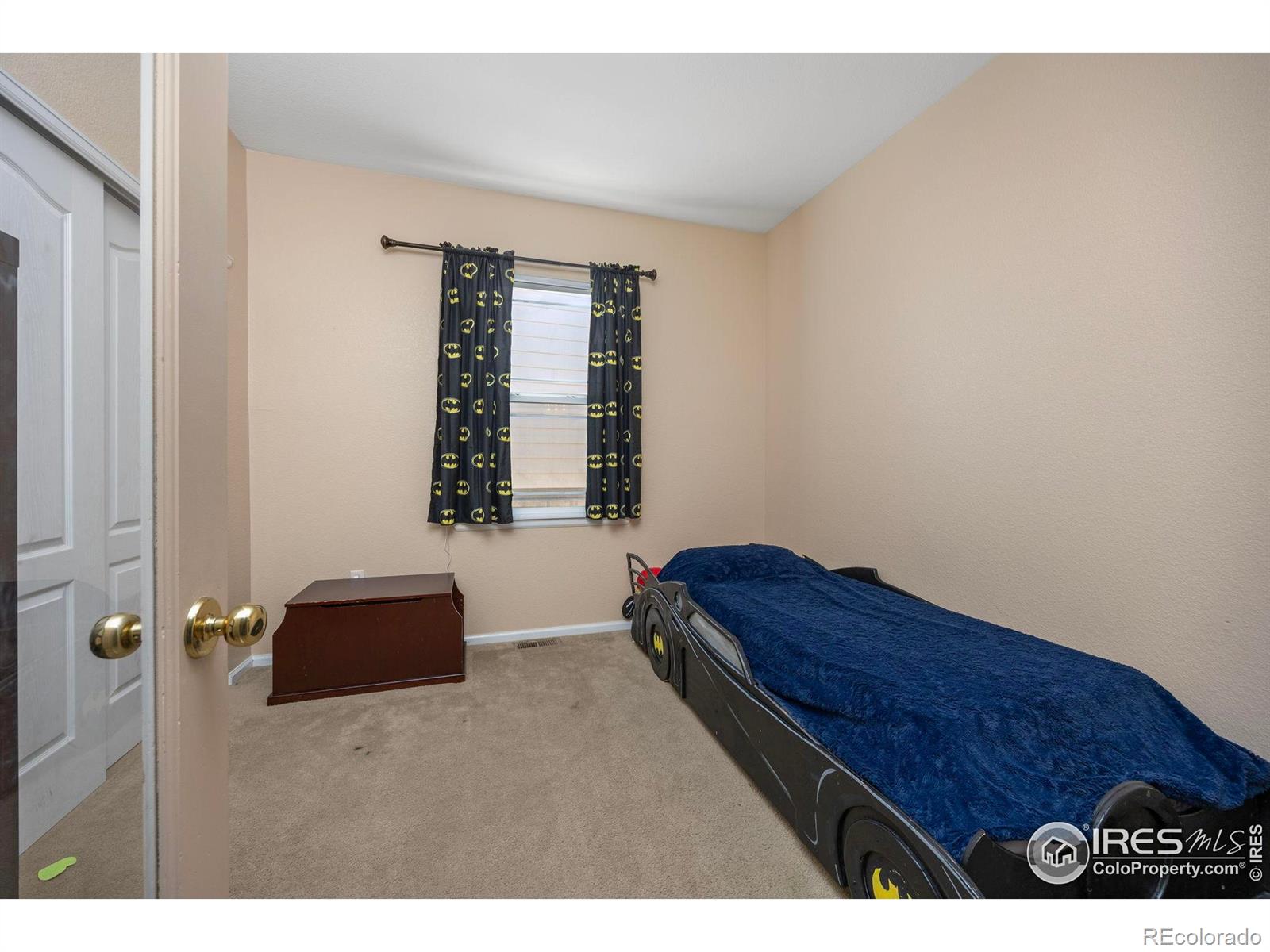 MLS Image #22 for 7067 s malaya court,aurora, Colorado