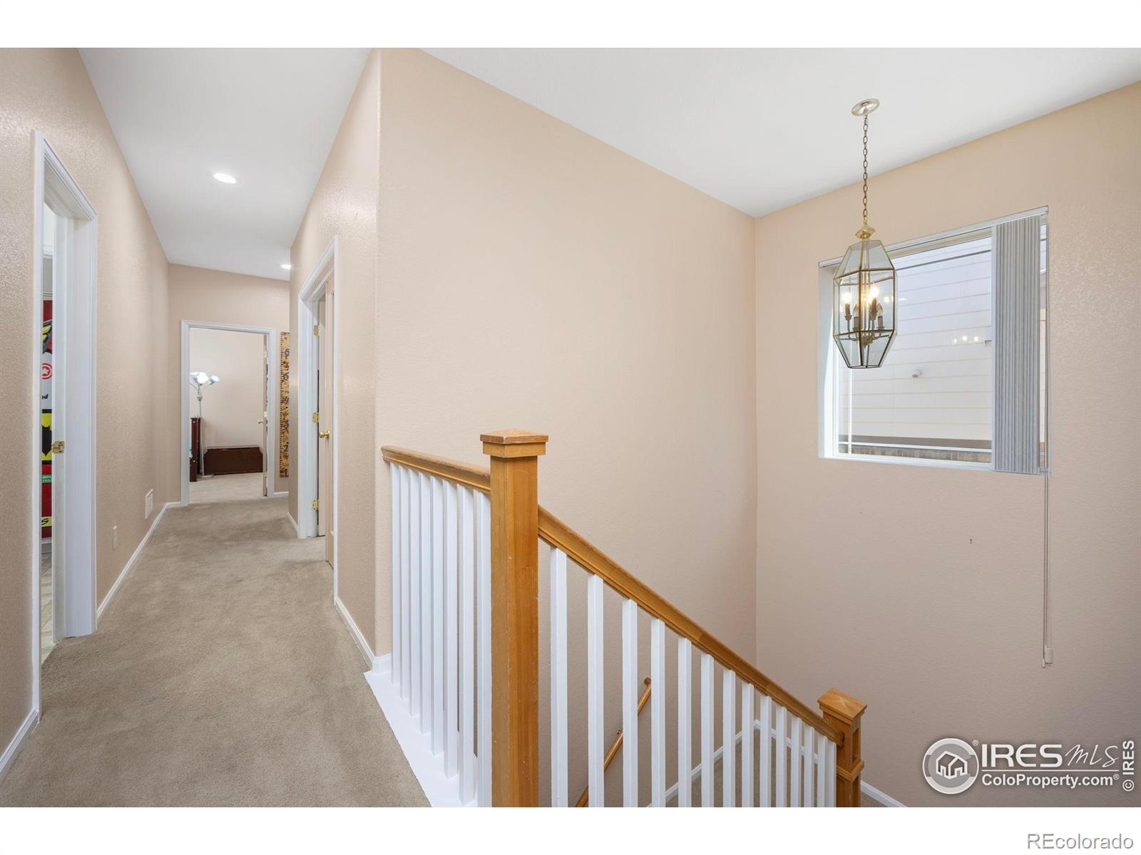 MLS Image #24 for 7067 s malaya court,aurora, Colorado