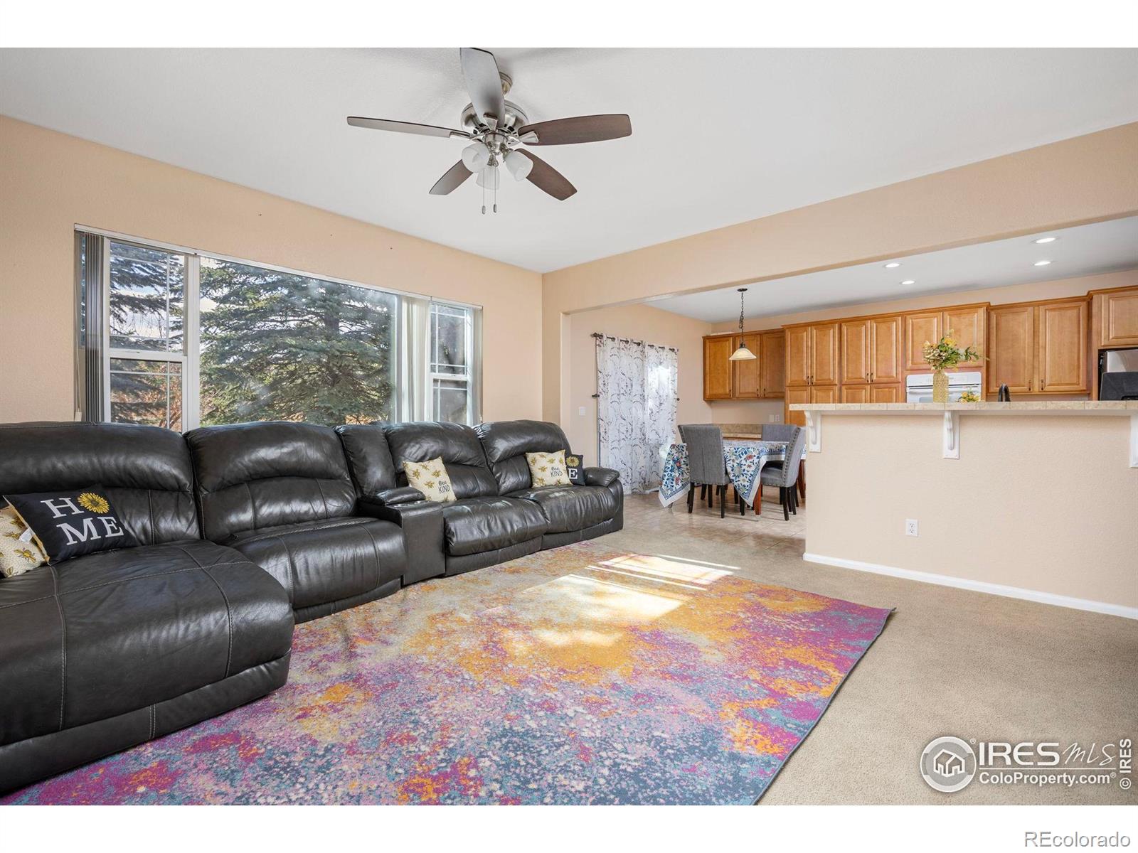 MLS Image #8 for 7067 s malaya court,aurora, Colorado