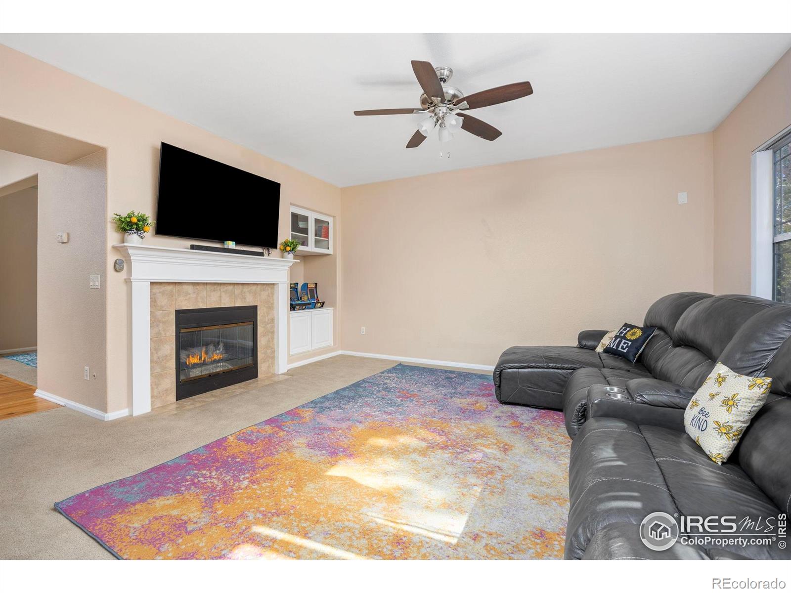 MLS Image #9 for 7067 s malaya court,aurora, Colorado
