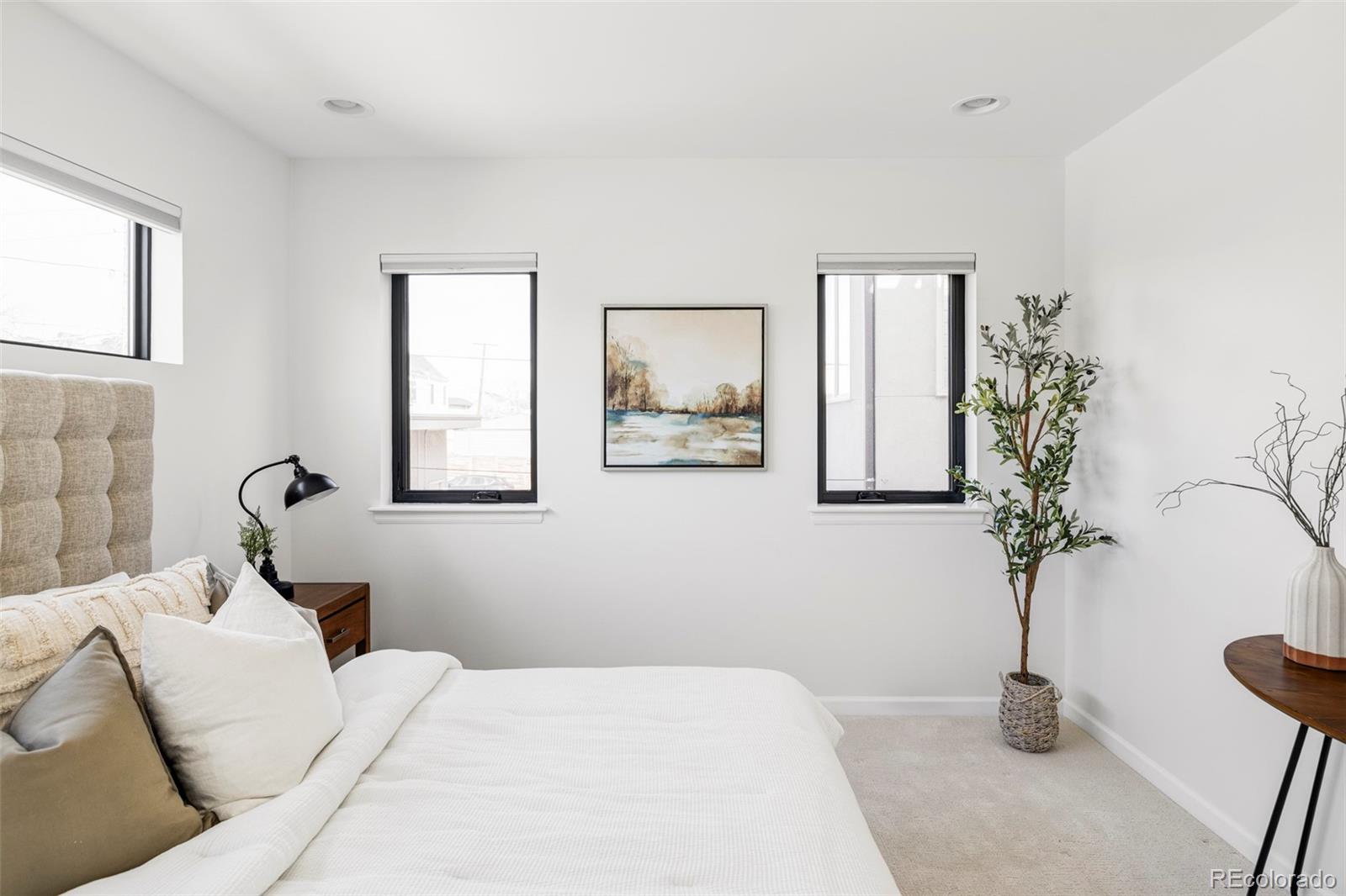 MLS Image #22 for 3451  quivas street,denver, Colorado