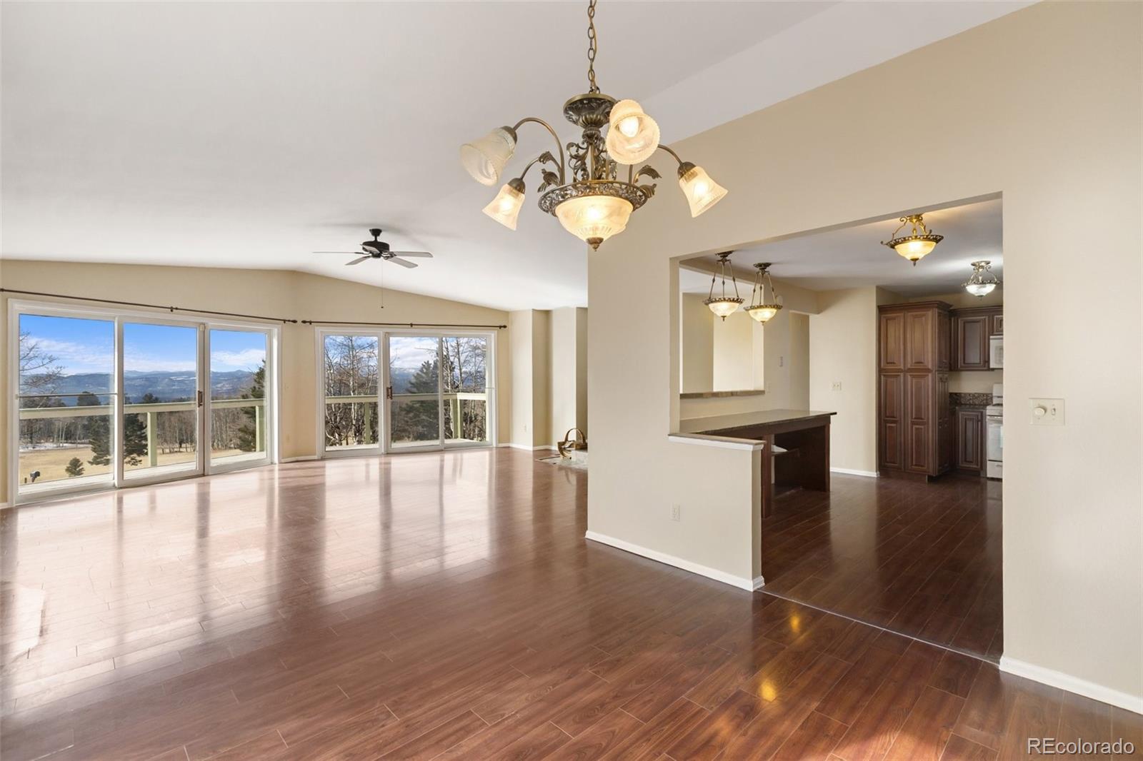 MLS Image #10 for 1874  vagabond creek drive,lake george, Colorado