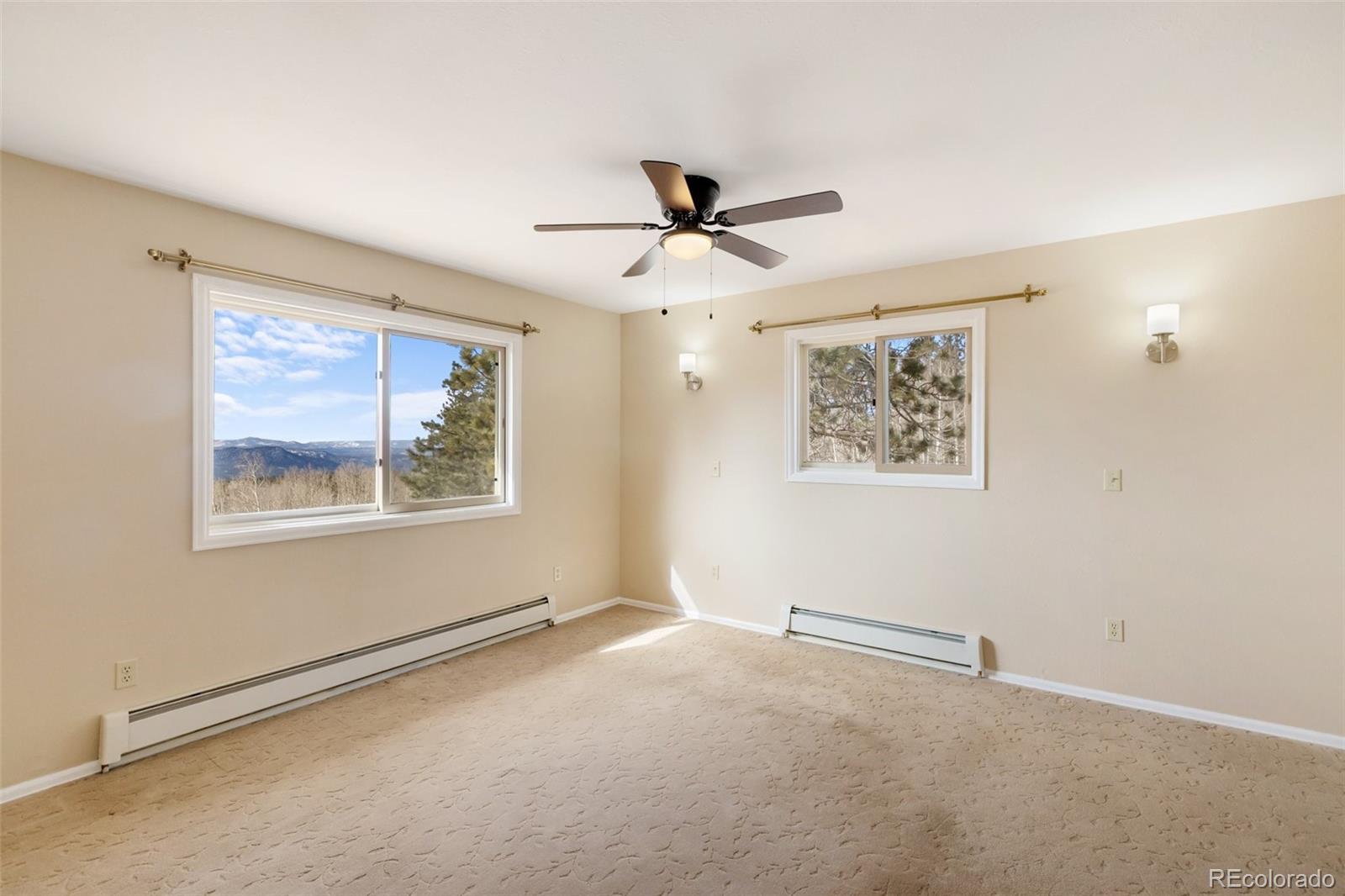 MLS Image #15 for 1874  vagabond creek drive,lake george, Colorado