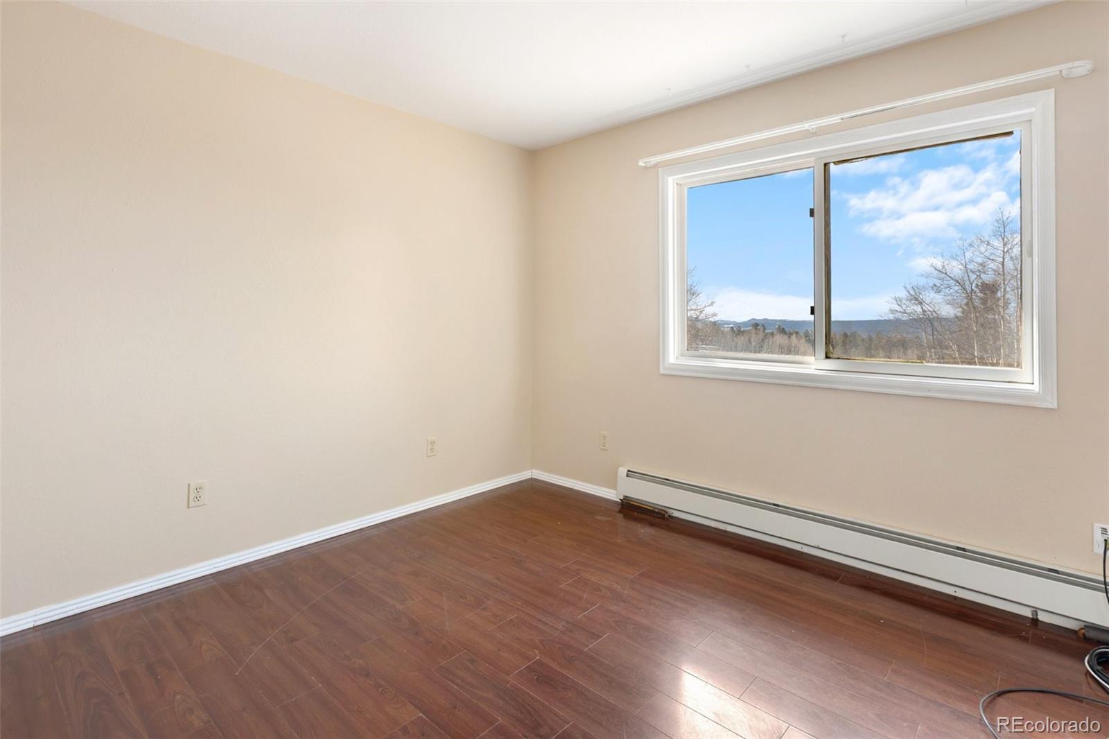 MLS Image #20 for 1874  vagabond creek drive,lake george, Colorado