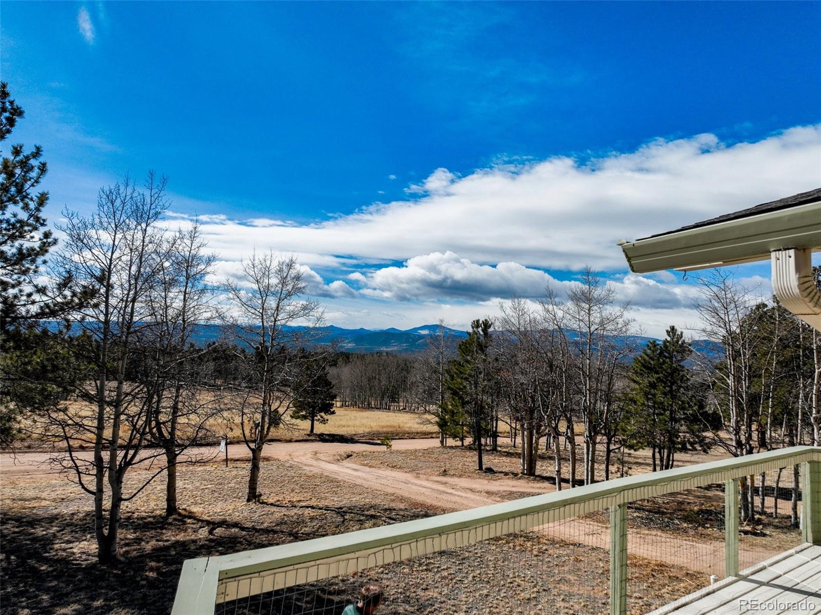 MLS Image #3 for 1874  vagabond creek drive,lake george, Colorado