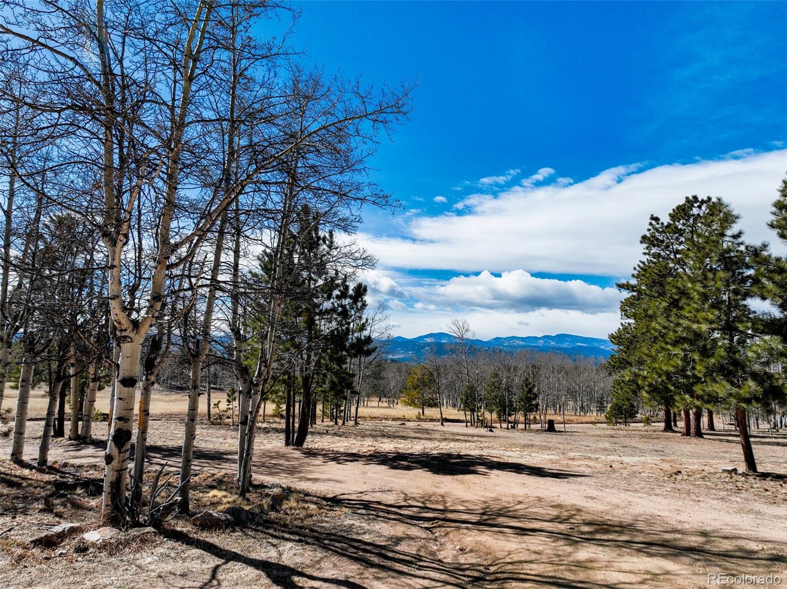 MLS Image #37 for 1874  vagabond creek drive,lake george, Colorado