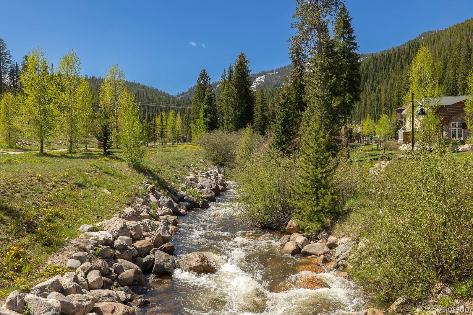 MLS Image #25 for 401  nystrom lane,winter park, Colorado