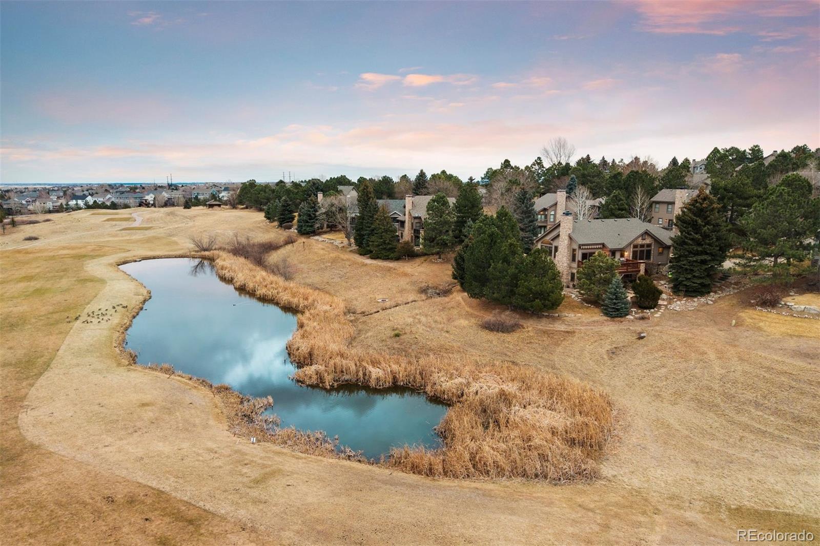 MLS Image #7 for 10  roder gate lane,castle pines, Colorado