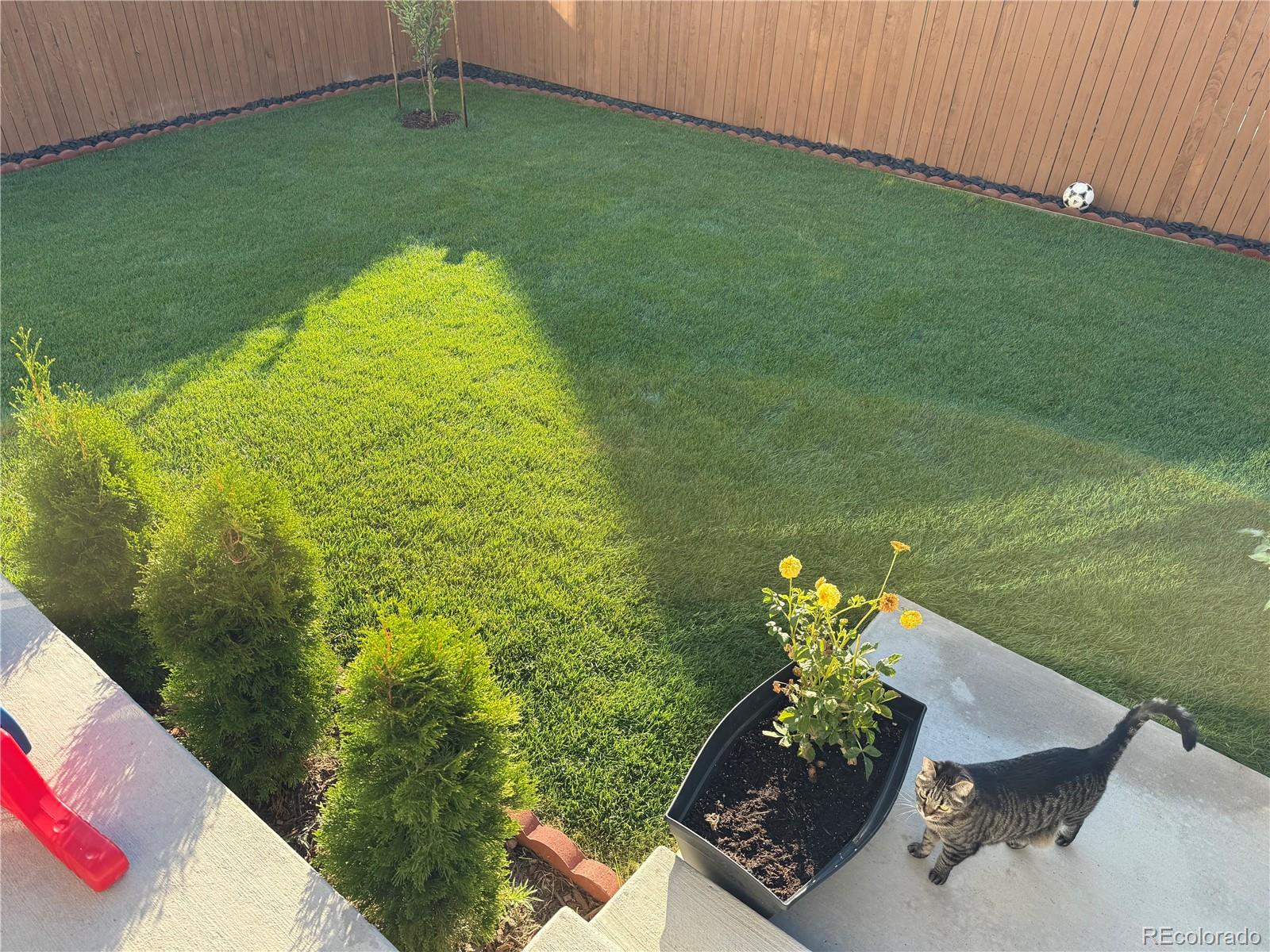 MLS Image #38 for 9980  victor street,commerce city, Colorado