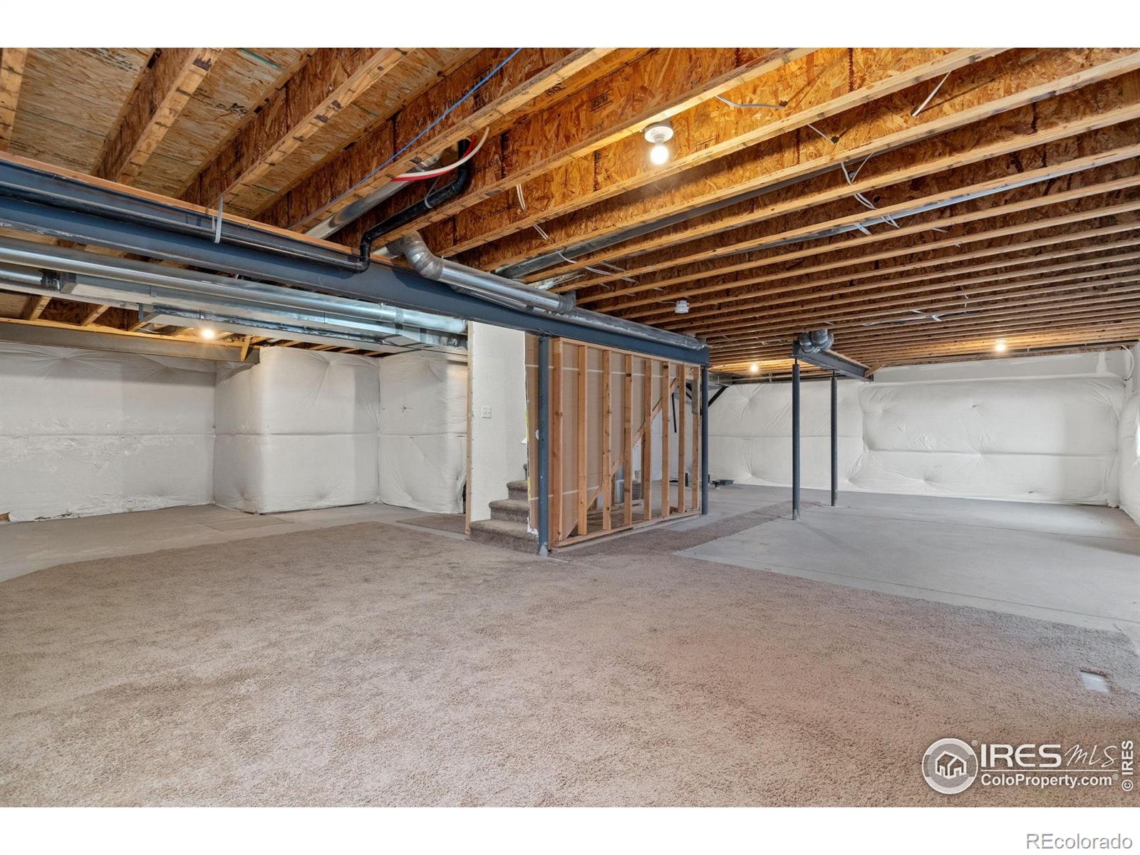 MLS Image #29 for 1057  mt oxford avenue,severance, Colorado