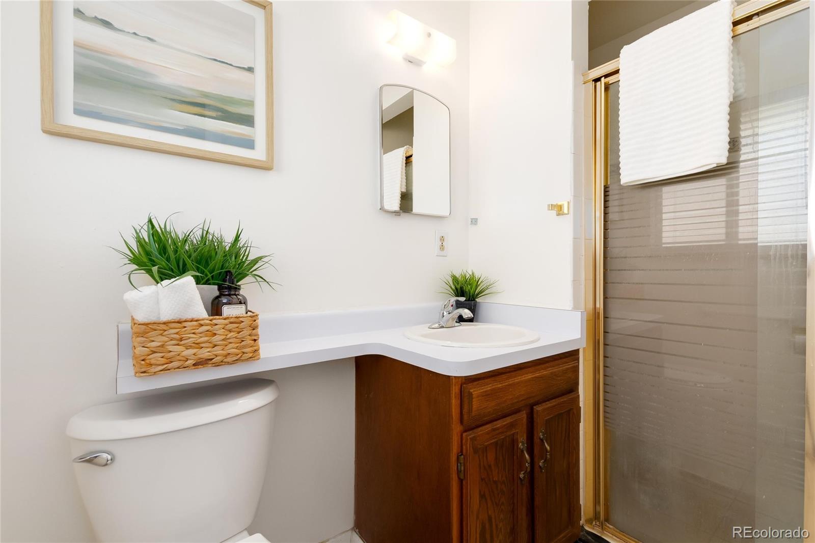 MLS Image #20 for 8711 s ammons street,littleton, Colorado