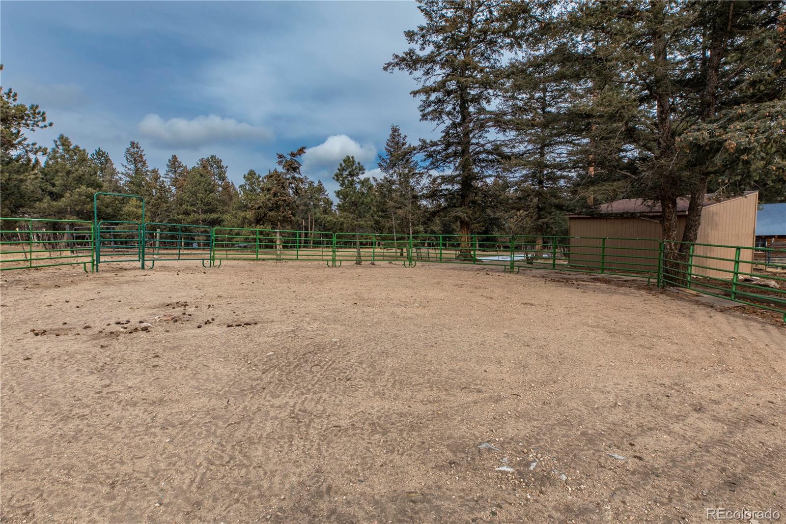 MLS Image #11 for 8830  blue creek road,evergreen, Colorado