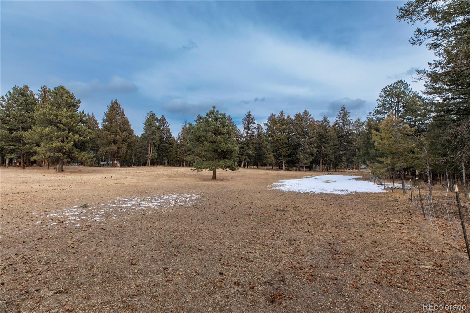 MLS Image #12 for 8830  blue creek road,evergreen, Colorado