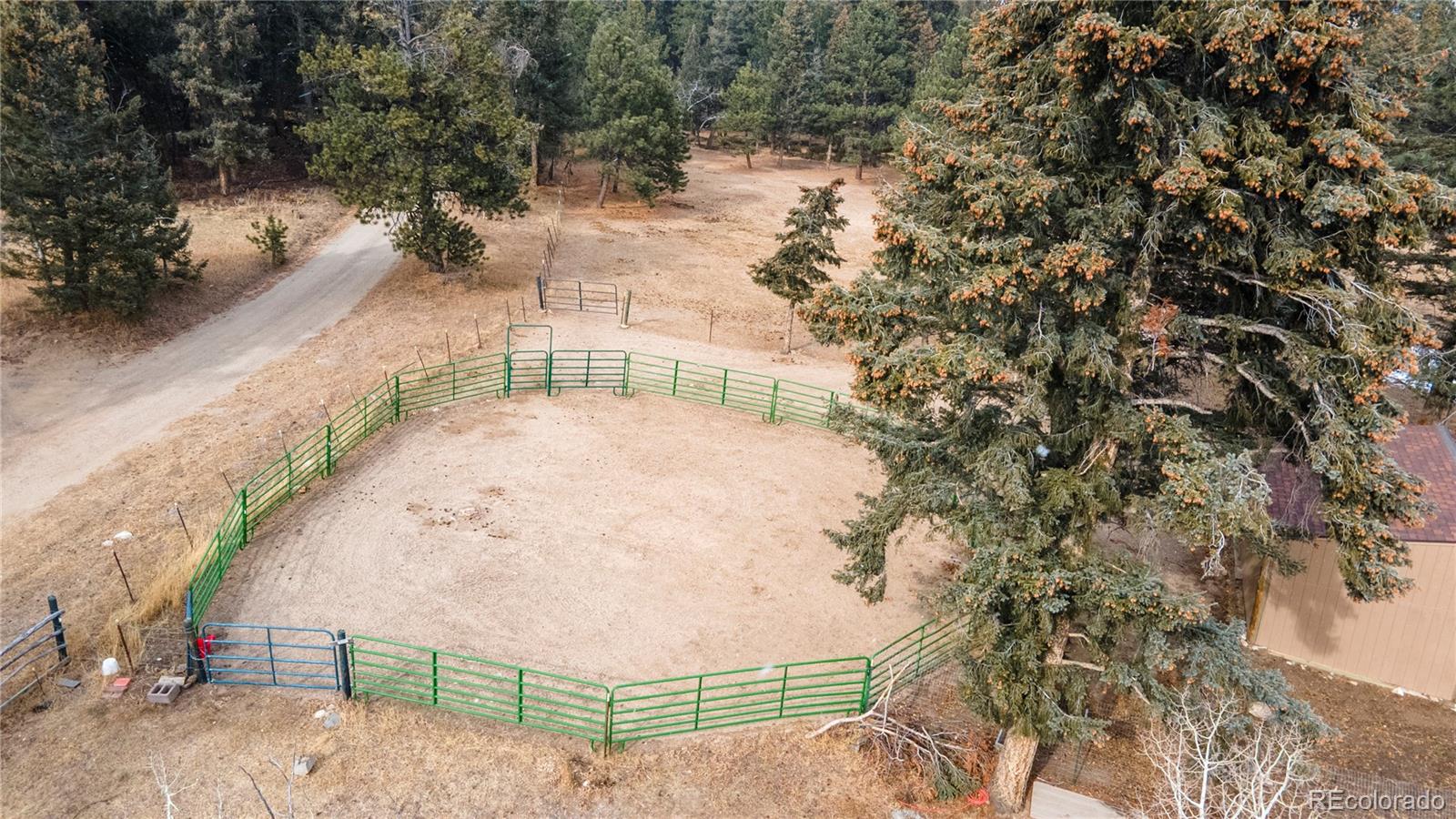 MLS Image #13 for 8830  blue creek road,evergreen, Colorado