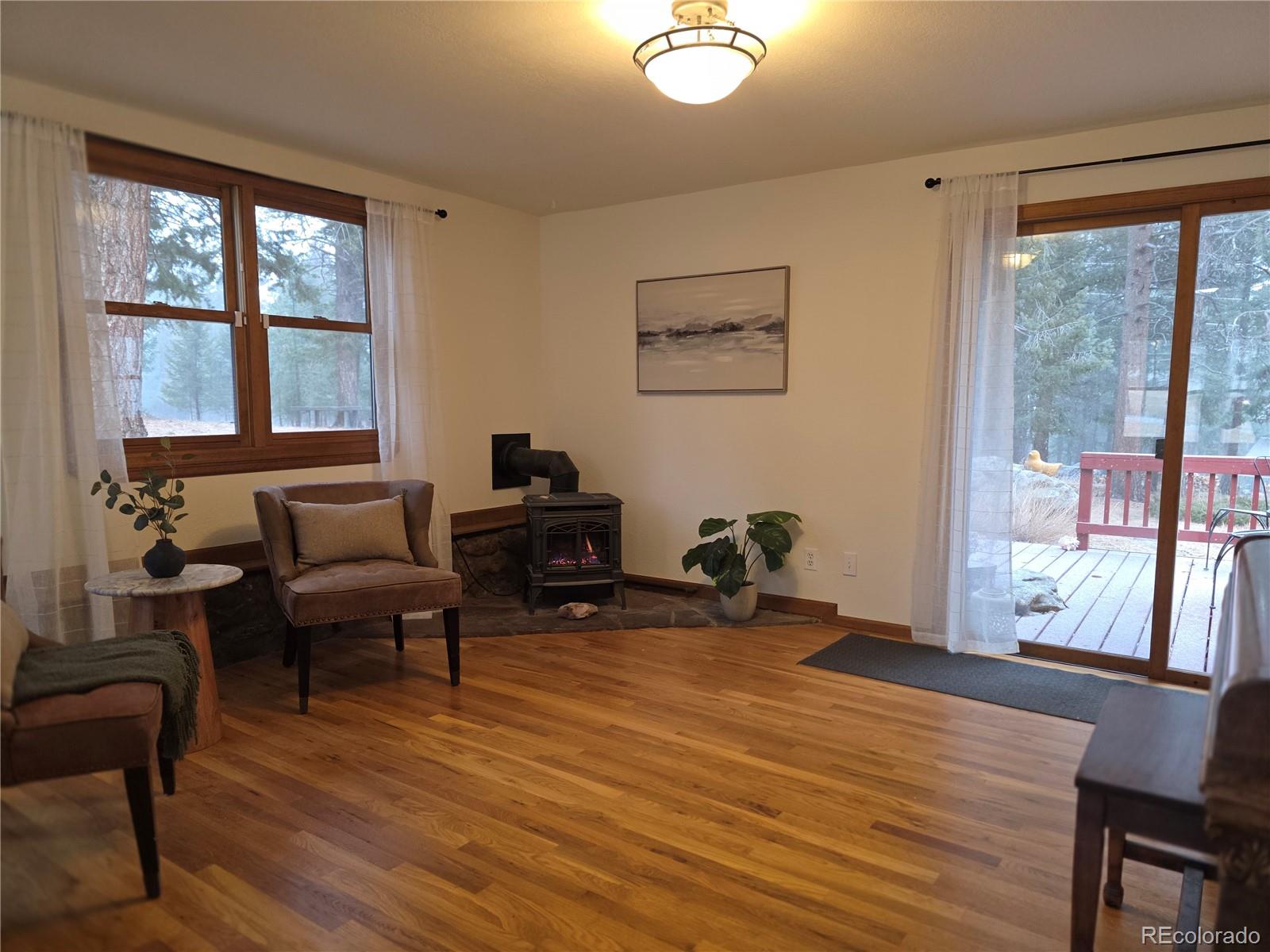 MLS Image #15 for 8830  blue creek road,evergreen, Colorado