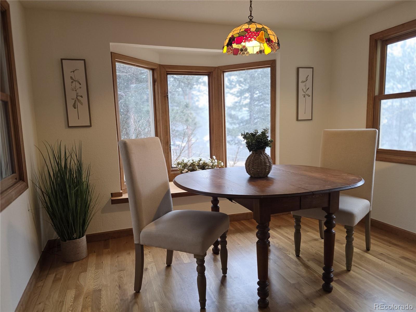 MLS Image #18 for 8830  blue creek road,evergreen, Colorado