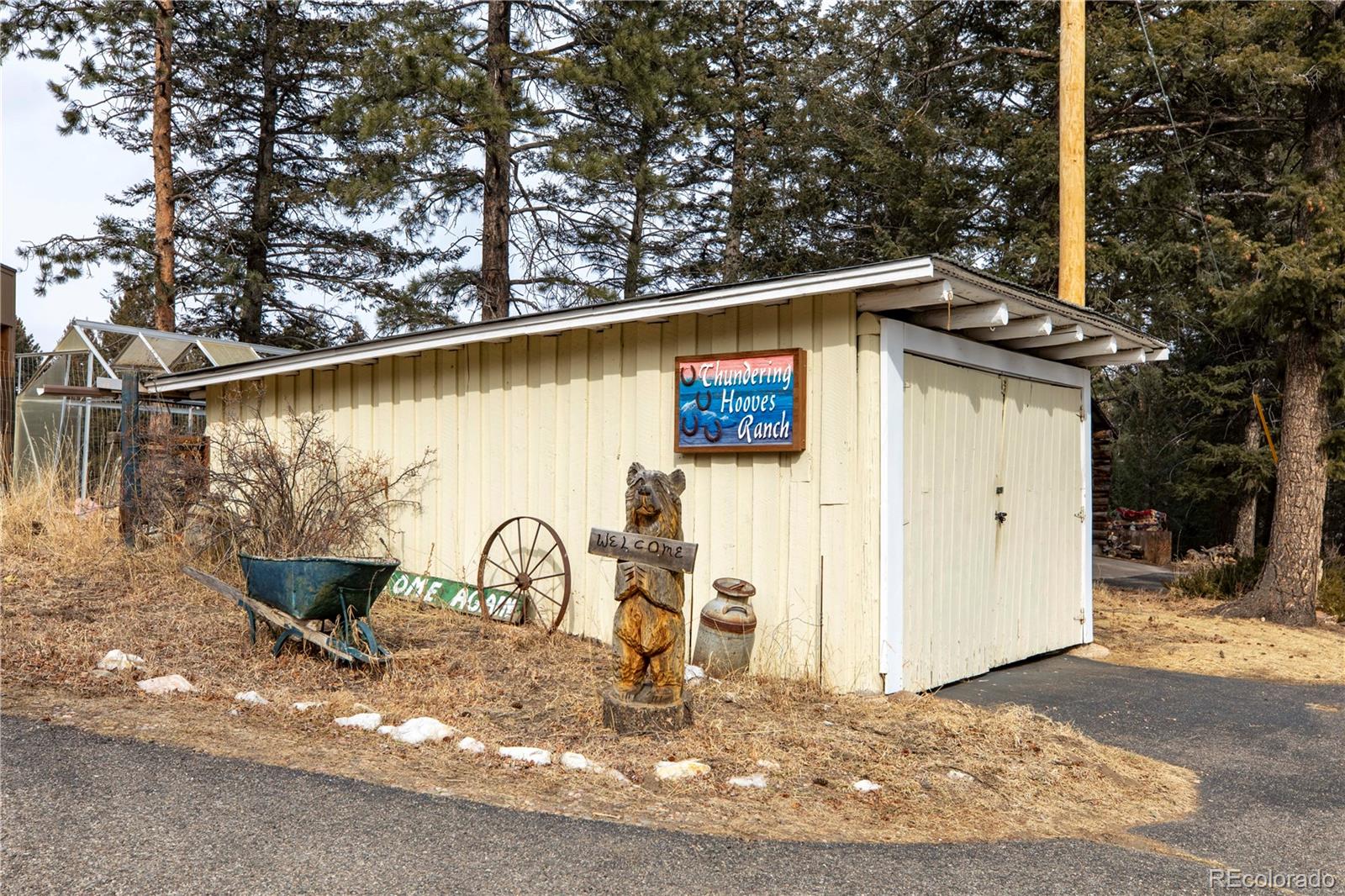 MLS Image #8 for 8830  blue creek road,evergreen, Colorado