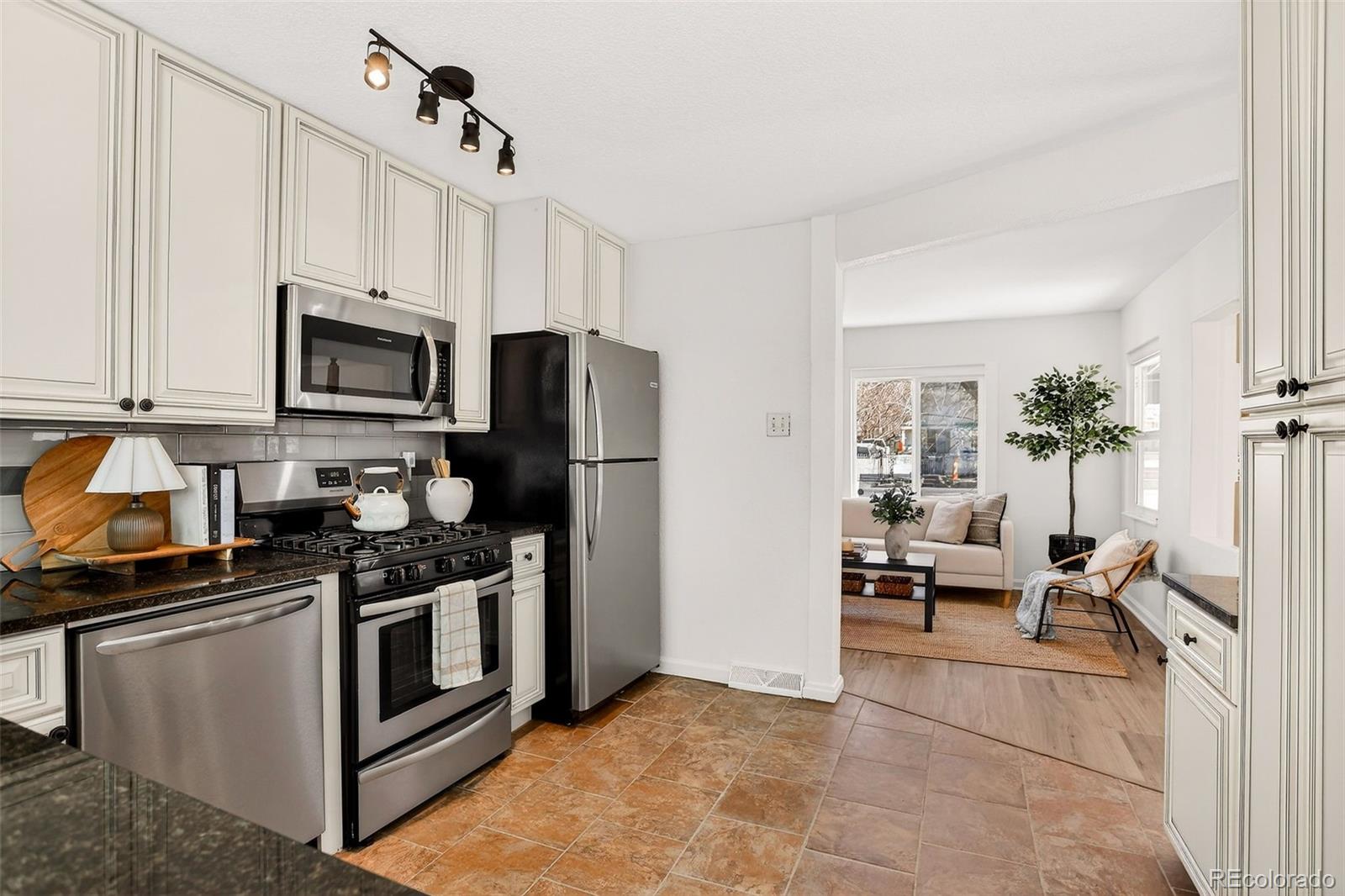 MLS Image #7 for 4341  steele street,denver, Colorado