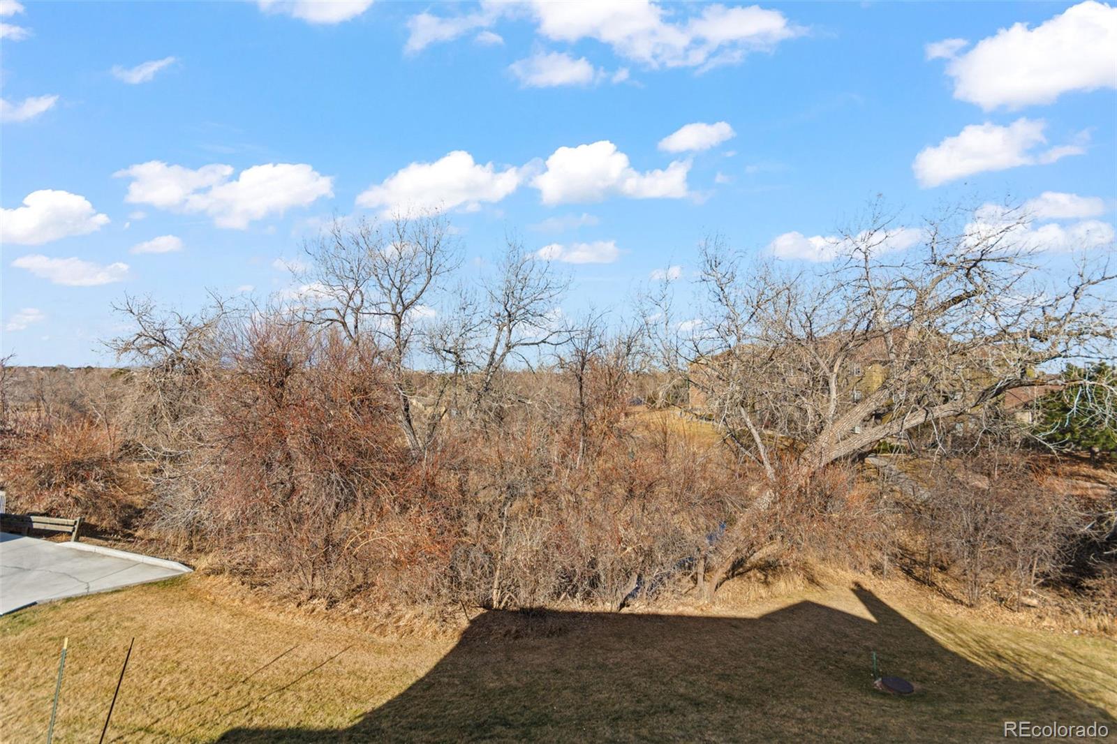 MLS Image #7 for 10213 w 80th drive,arvada, Colorado