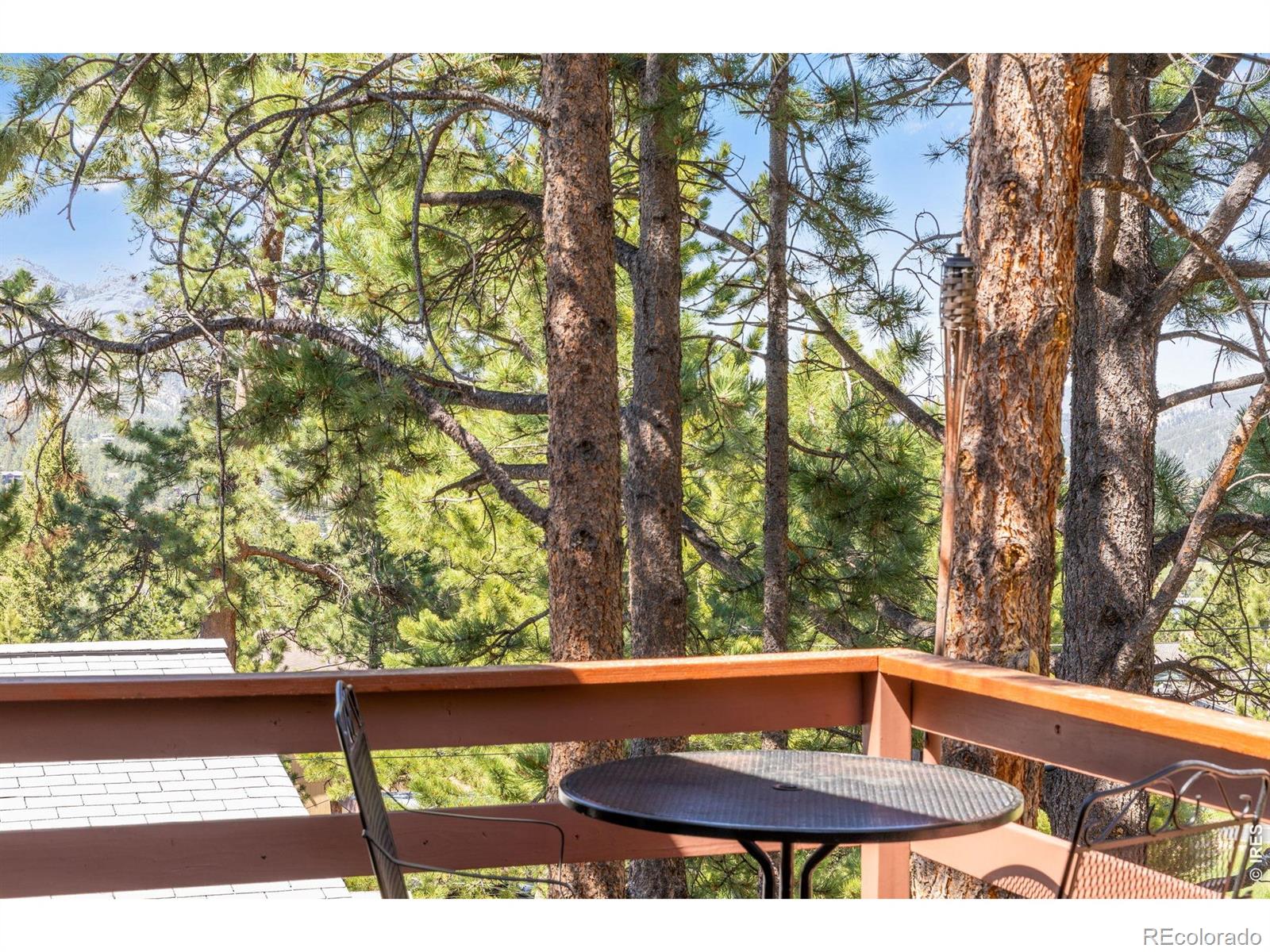 MLS Image #41 for 500  elm avenue,estes park, Colorado