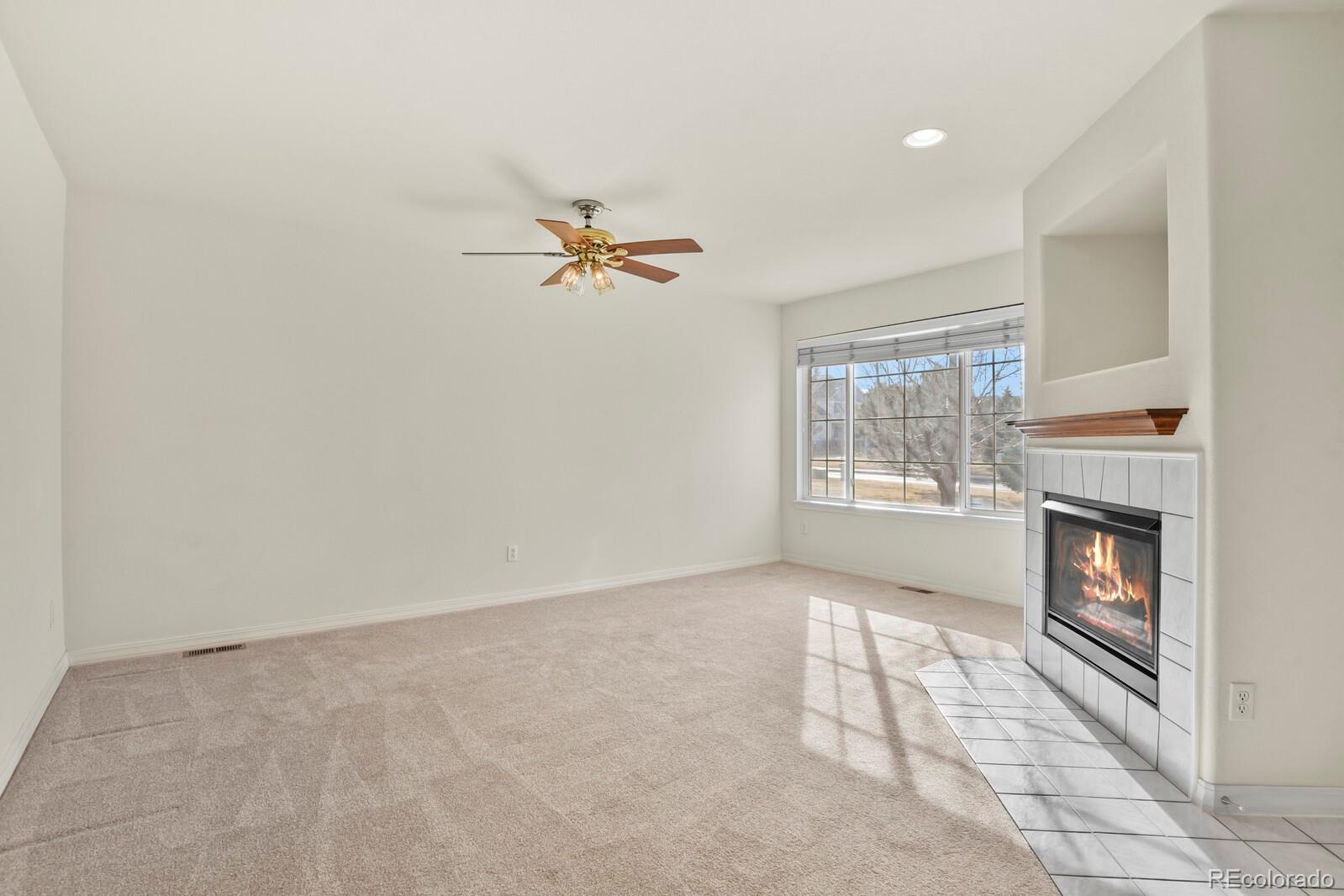 MLS Image #7 for 9608  deerhorn court,parker, Colorado